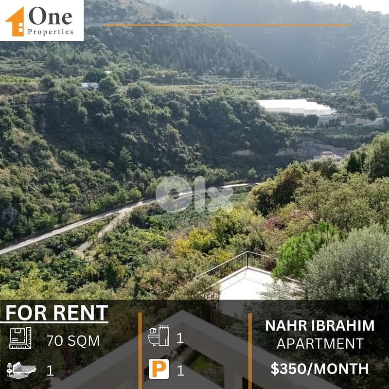 APARTMENT FOR RENT IN NAHR IBRAHIM 0
