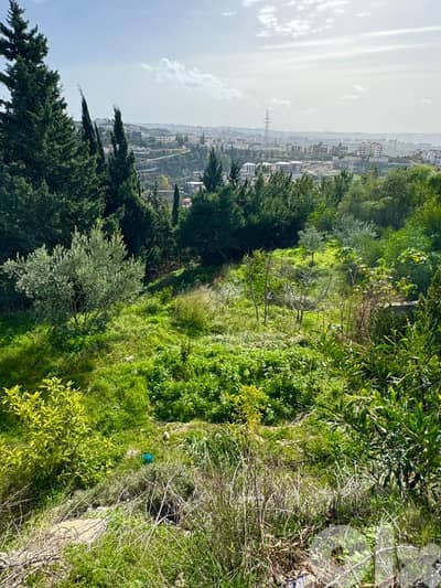 عقار مطل على البحر للبيع في الغازية -Land for Sale in Ghaziye Sea View
