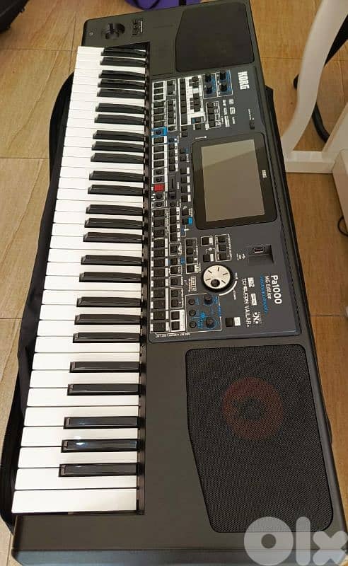 korg pa1000 0