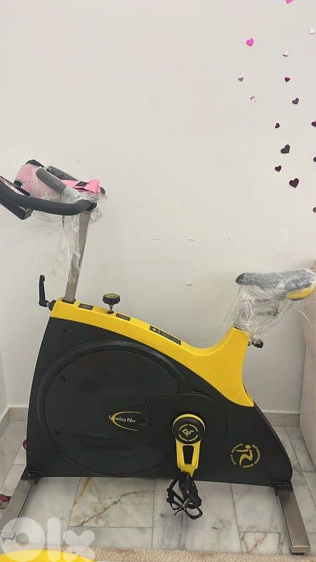 spining bike fitness heavy duty telp 81061193 0