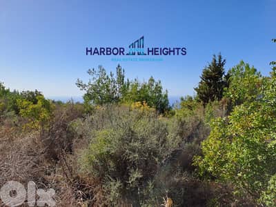 Land for Rent in Fatqa أرض للإيجار في فتقا