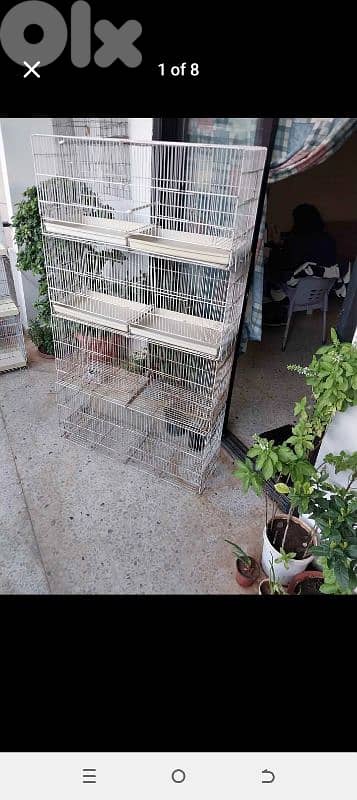 Birds Cages 0