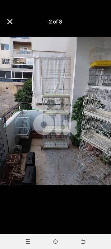 Birds Cages 3
