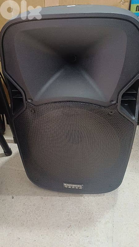 speaker 15" passive 300w 0