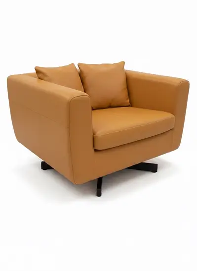 Pair set Limited classic Roche Bobois Lounge Chair Pair set Limited classic Roche Bobois Lounge Chair