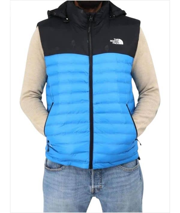 the north face vest 700 0