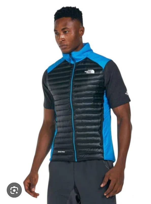 the north face vest 800 pro 0