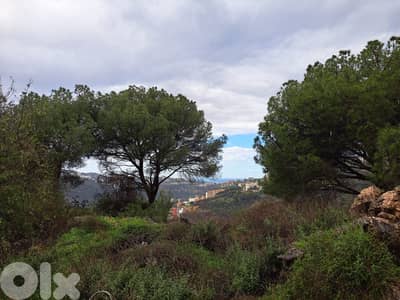 Perfect land for investment in Monte Verde
