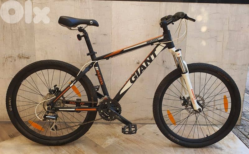 Giant Rincon disc small (used) 0