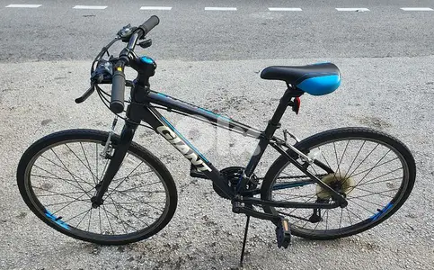 Giant Revel 24" size XS (used)