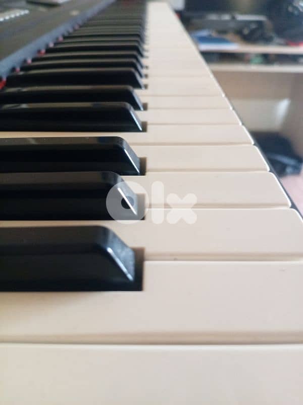 yamaha piaggero NP-V60 2