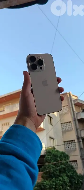 سبتية