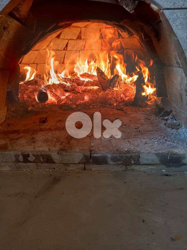 Wood fired oven 0