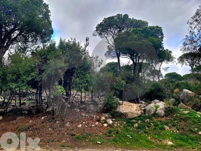 LAND/أرض/ High caliber area/Baabdat/بعبدات ! REF#CN133524 !