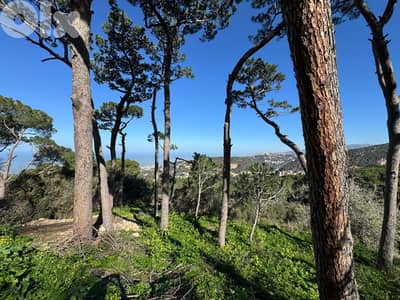 L20606- A 700 SQM Land With Sea And Mountain View For Sale in Broumana