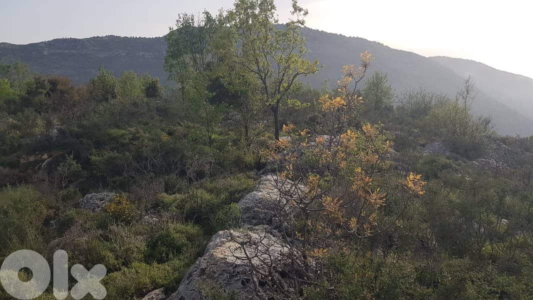 RWB346CA - Land for sale in Lehfed Jbeil 0