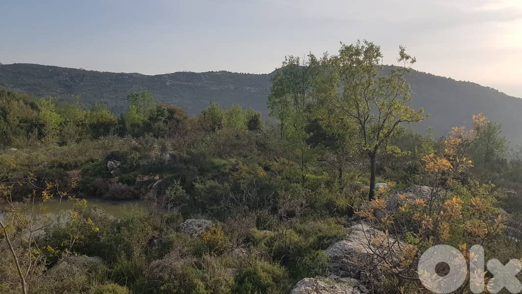 RWB346CA - Land for sale in Lehfed Jbeil 1