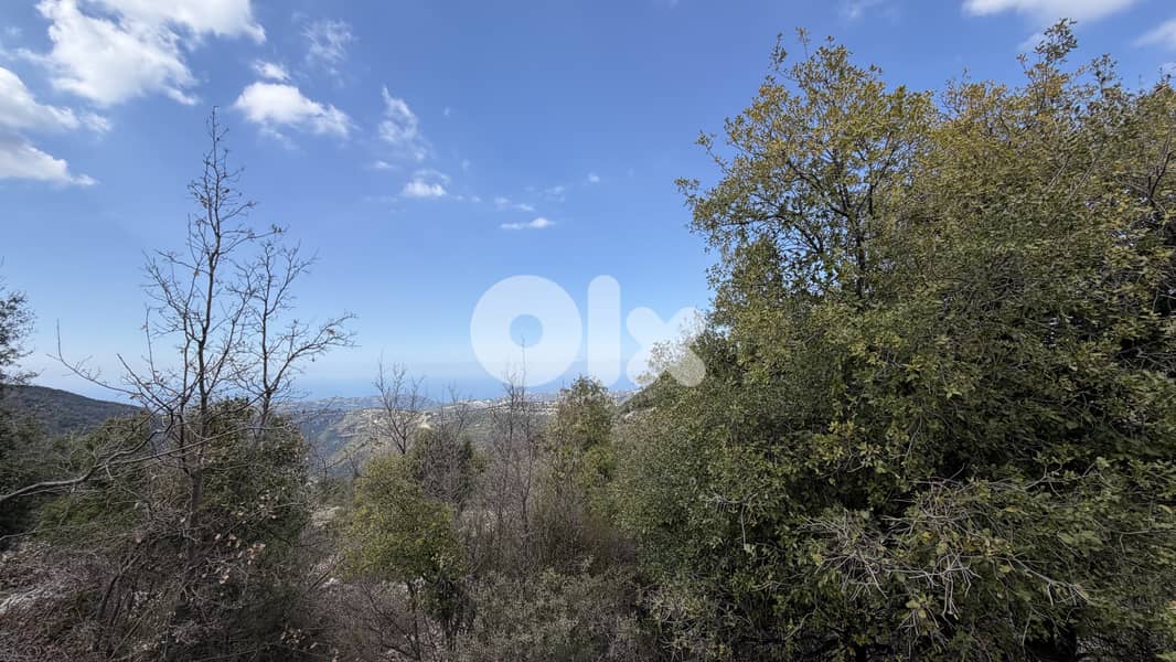 RWB346CA - Land for sale in Lehfed Jbeil 2