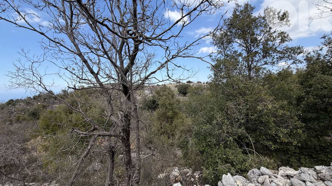 RWB346CA - Land for sale in Lehfed Jbeil 4