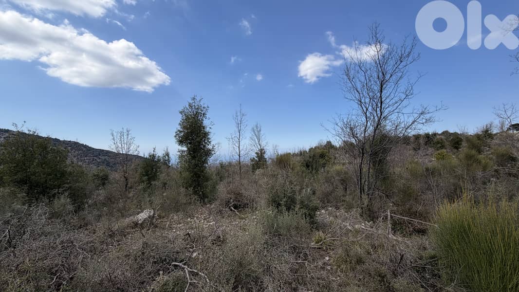 RWB346CA - Land for sale in Lehfed Jbeil 6