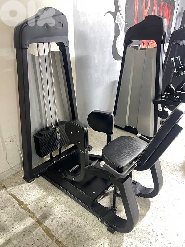 chest press / abductor machine 2