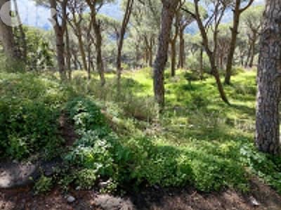 أرض للبيع في برمانا / المسقى Land for sale in Broummana / Al Maska