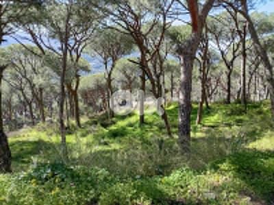 أرض للبيع في برمانا / المسقى Land for sale in Broummana / Al Maska