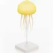 Jellyfish lamp