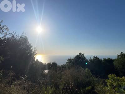 For Sale Land in Aalita 352m ONLY for 187K أرض في أليتا