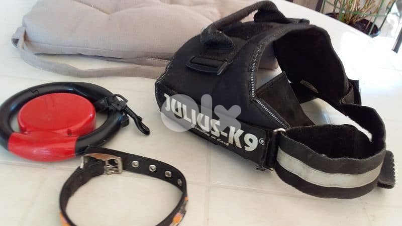 Dog collar and harnesses 0
