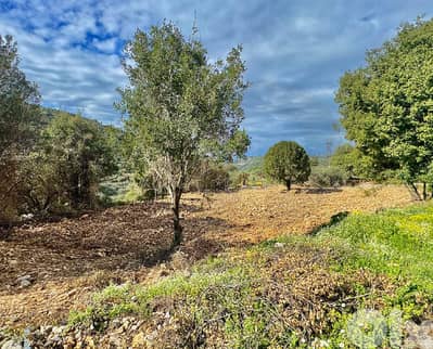 directly on the main road, one of a kind, Kfifane/كفيفان REF#YH133657