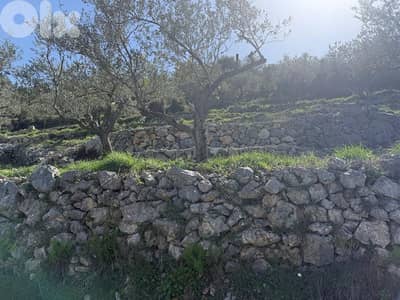 For Sale Land in Bejjeh 1300m ONLY for 50K للبيع أرض رائعة في بجة