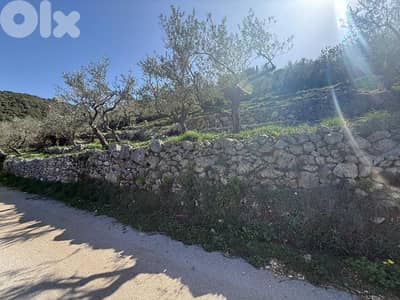 For Sale Land in Bejjeh 1300m ONLY for 50K للبيع أرض رائعة في بجة
