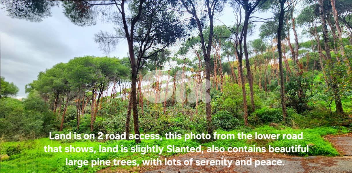 Land for sale in Rabieh/ Seaview 1