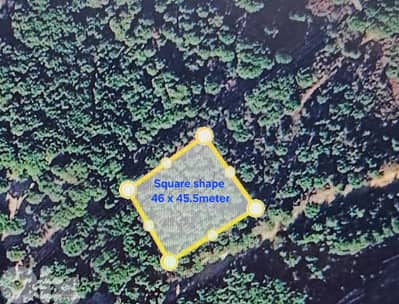 Land for sale in Rabieh/ Seaview