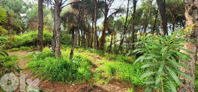 Land for sale in Rabieh/ View