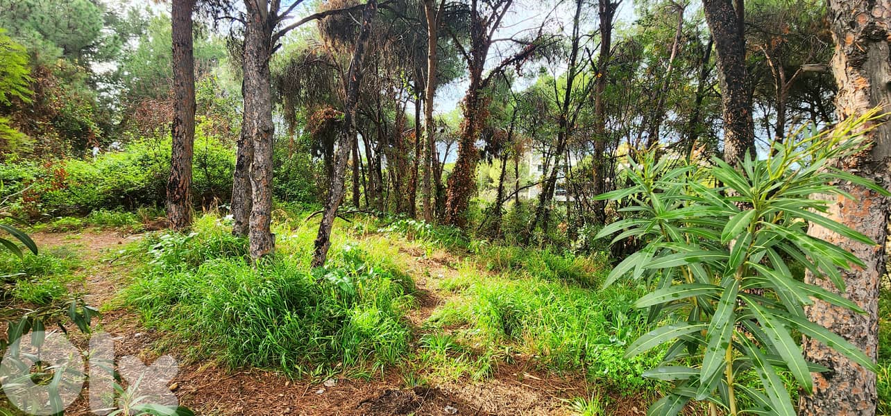 Land for sale in Rabieh/ View 0