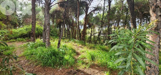 Land for sale in Rabieh/ View