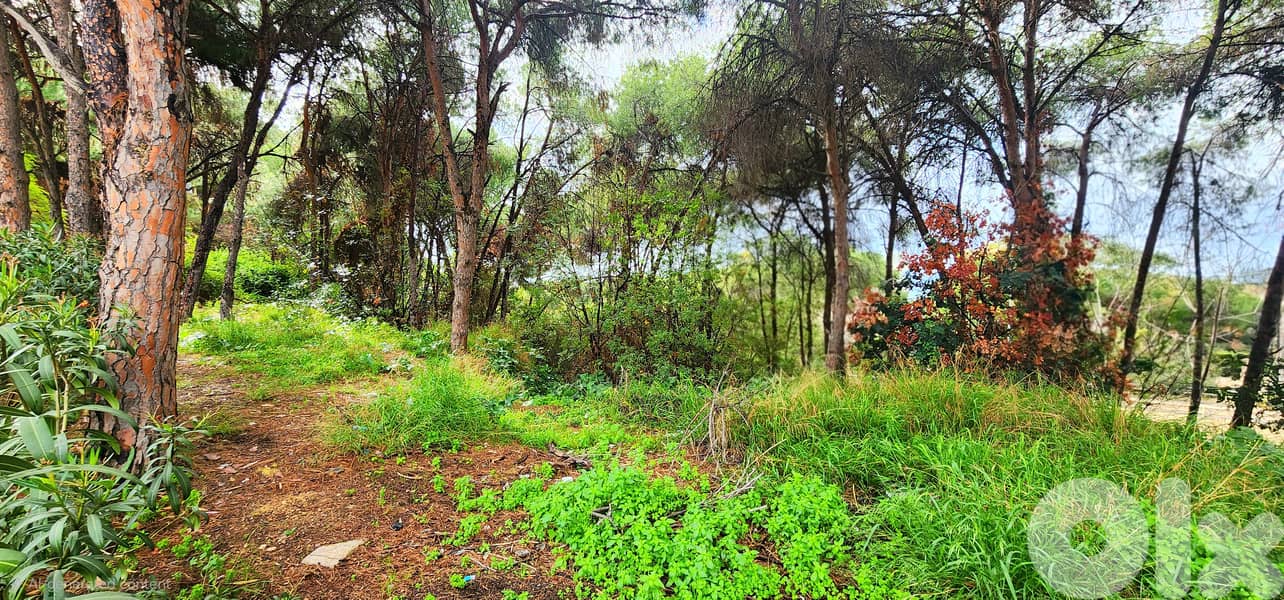 Land for sale in Rabieh/ View 2
