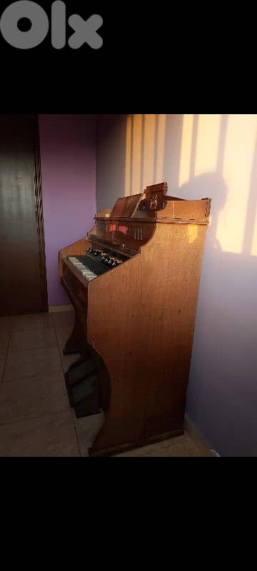 عكار العبده 1
