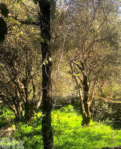 Land for sale in Qornet Chehwane/ Panoramic view