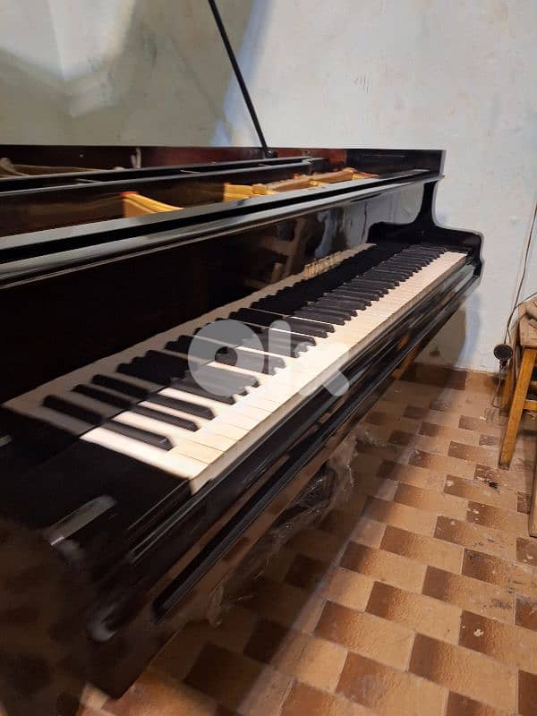 piano baby grand glossy black coloured tuning warranty 2