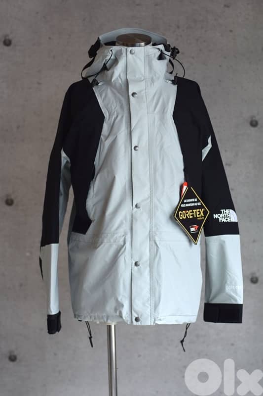 The North Face 1994 Retro Mountain Light GORE-TEX Jacket 0