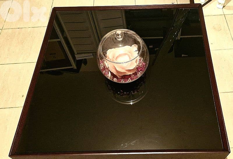 Gorgeous Coffee Table 1