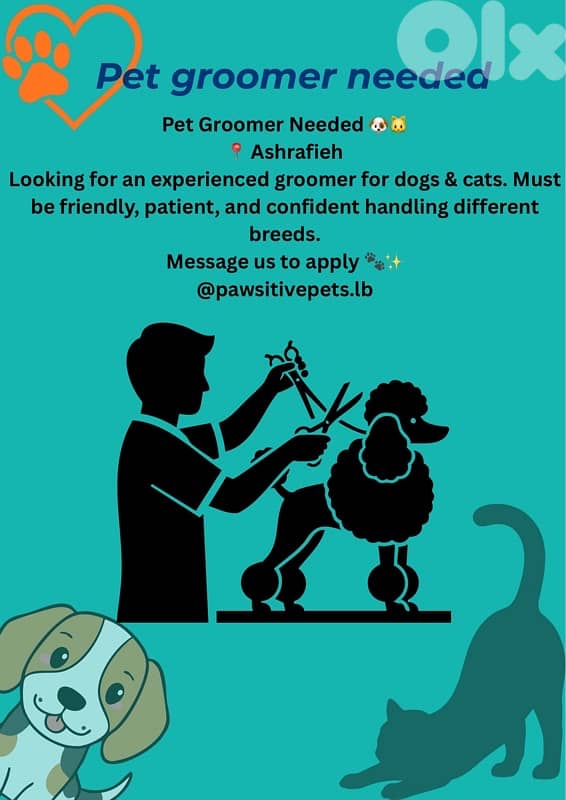 pet groomer needed 0