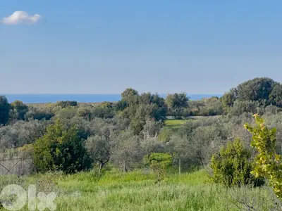 Hamat Sea View Land - أرض بإطلالة بحرية في حامات