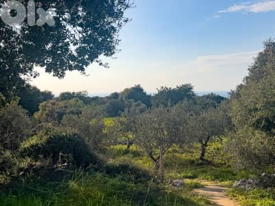 Hamat Sea View Estate - أرض واسعة بإطلالة بحرية في حامات