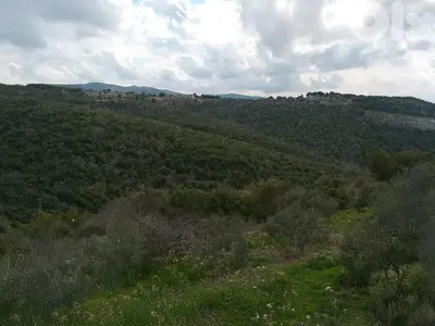 Batroun Hills Land - أرض بإطلالة بحر وجبل قرب البترون