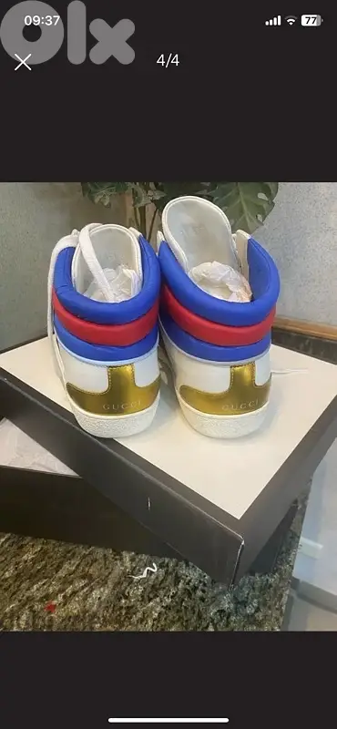gucci
