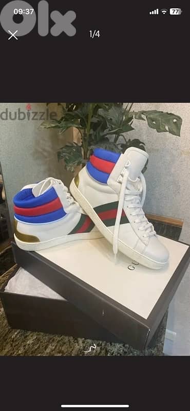 gucci 1